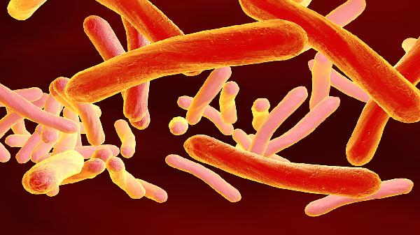 HIV-Positive Diet: Key Nutritional Guidelines for Better Health