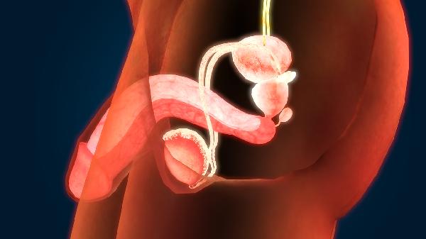 Self-Care Methods for Men with Premature Ejaculation
