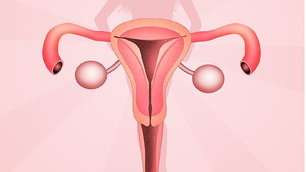 What Are the Symptoms of Uterine Fibroids?