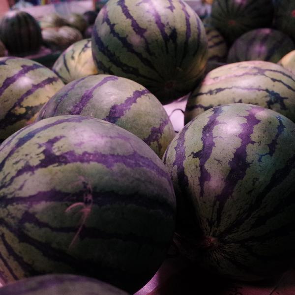 Is Watermelon Acidic or Alkaline? Find Out Here!