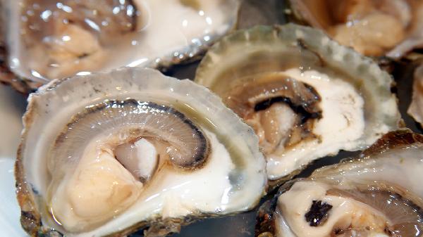 The Pros and Cons of Eating Oysters for Men