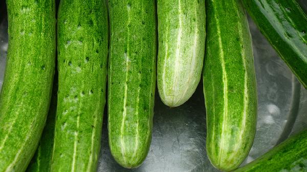 Daily Cucumber: What Happens to Your Body?