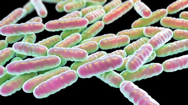How to Use Probiotics for Babies Aged 0-3 Months