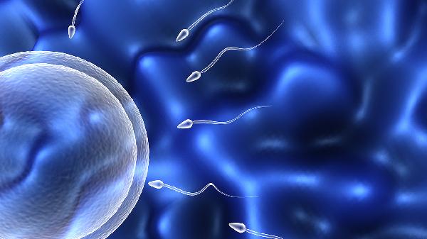 Male Infertility: Understanding Pyospermia