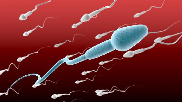 Weak Sperm: Understanding Male Infertility