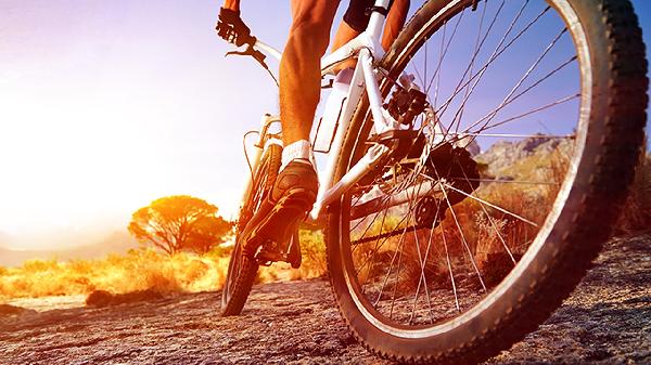 Cycling Linked to Erectile Dysfunction Risk