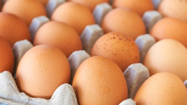 How Much Protein Do You Really Need to Build Muscle? (Science-Backed Answer)