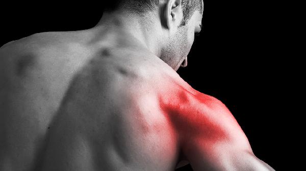 Best Shoulder Lifts for Sculpted, Strong Shoulders