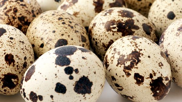 How Much Protein Do You Really Need to Build Muscle? (The Truth!)