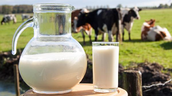 Boost Your Gains: How Milk Supercharges Your Bodybuilding Results