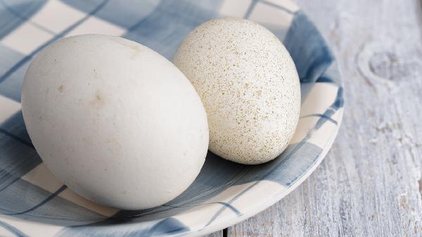 How Much Protein Do You Really Need to Build Muscle? The Science-Backed Answer
