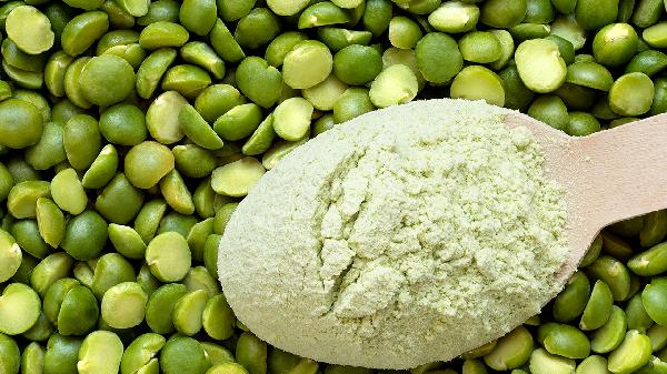 Maximize Your Gains: Use This Protein Calculator to Optimize Your Diet!