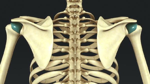 Best Back Exercises for Mass: Build a Thicker, Stronger Back Fast!