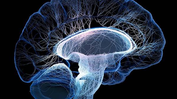 Unlock Your Brain's Full Potential: The Ultimate Anti-Aging Guide for Peak Mental Performance