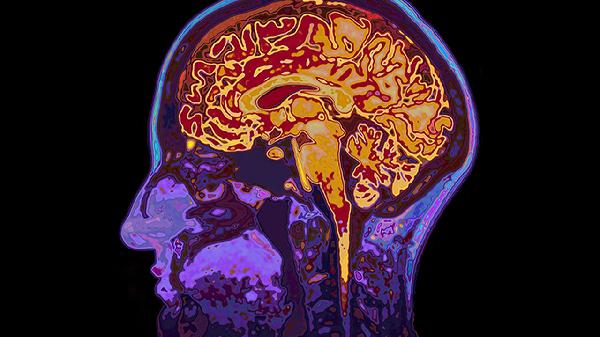 Unlock Your Brain's Potential: 5 Science-Backed Strategies to Master Any Habit