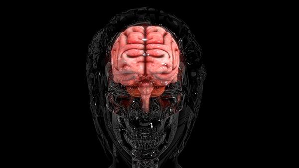 Decision Fatigue: How 35,000 Daily Choices Drain Your Brain (And How to Stop It)