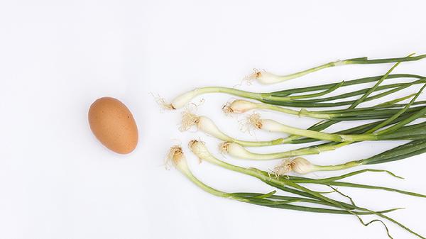 Is It Safe to Eat Eggs with Blood Spots? The Truth You Need to Know