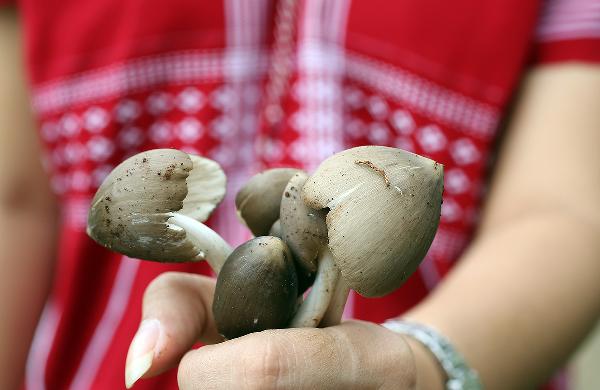 PSA: You're Probably Washing Your Mushrooms Wrong—Here's the Right Way!