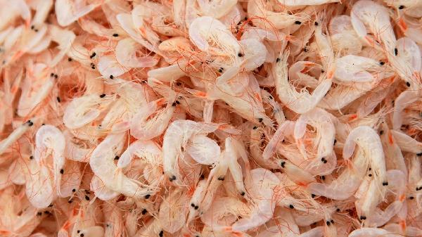 Sweet & Spicy Must-Have: The Condiment That’s Taking Over American Kitchens!