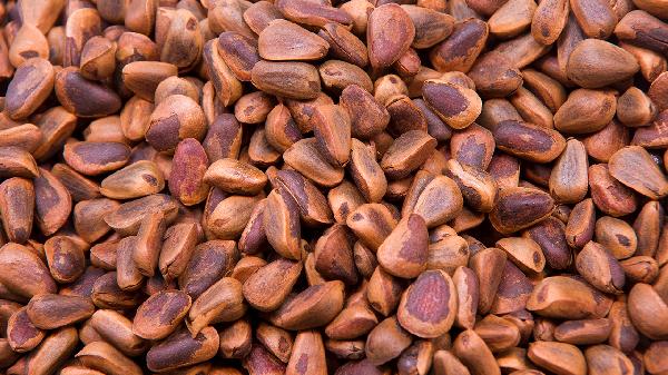 Why Are Pine Nuts So Expensive? The Surprising Truth