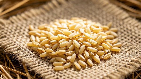 Brown Rice or White Rice: Which One Boosts Your Energy and Keeps You Fuller Longer?